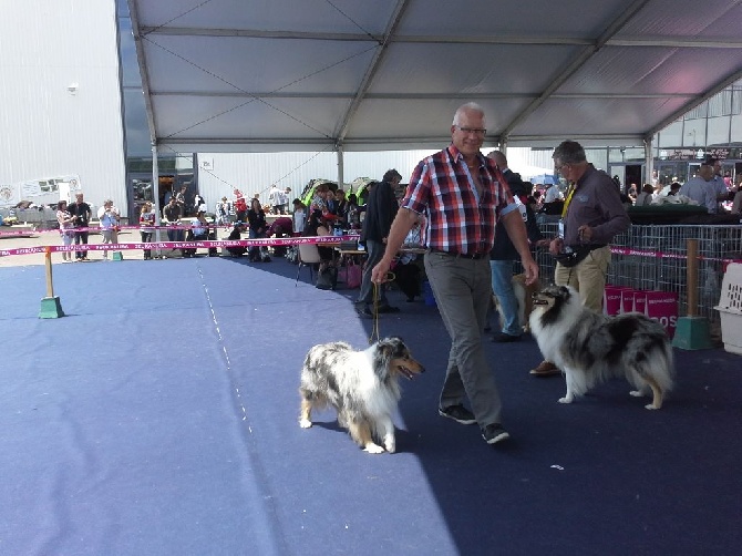 Du Chateau De Chatillon - Championnat de France Juin 2016, Metz